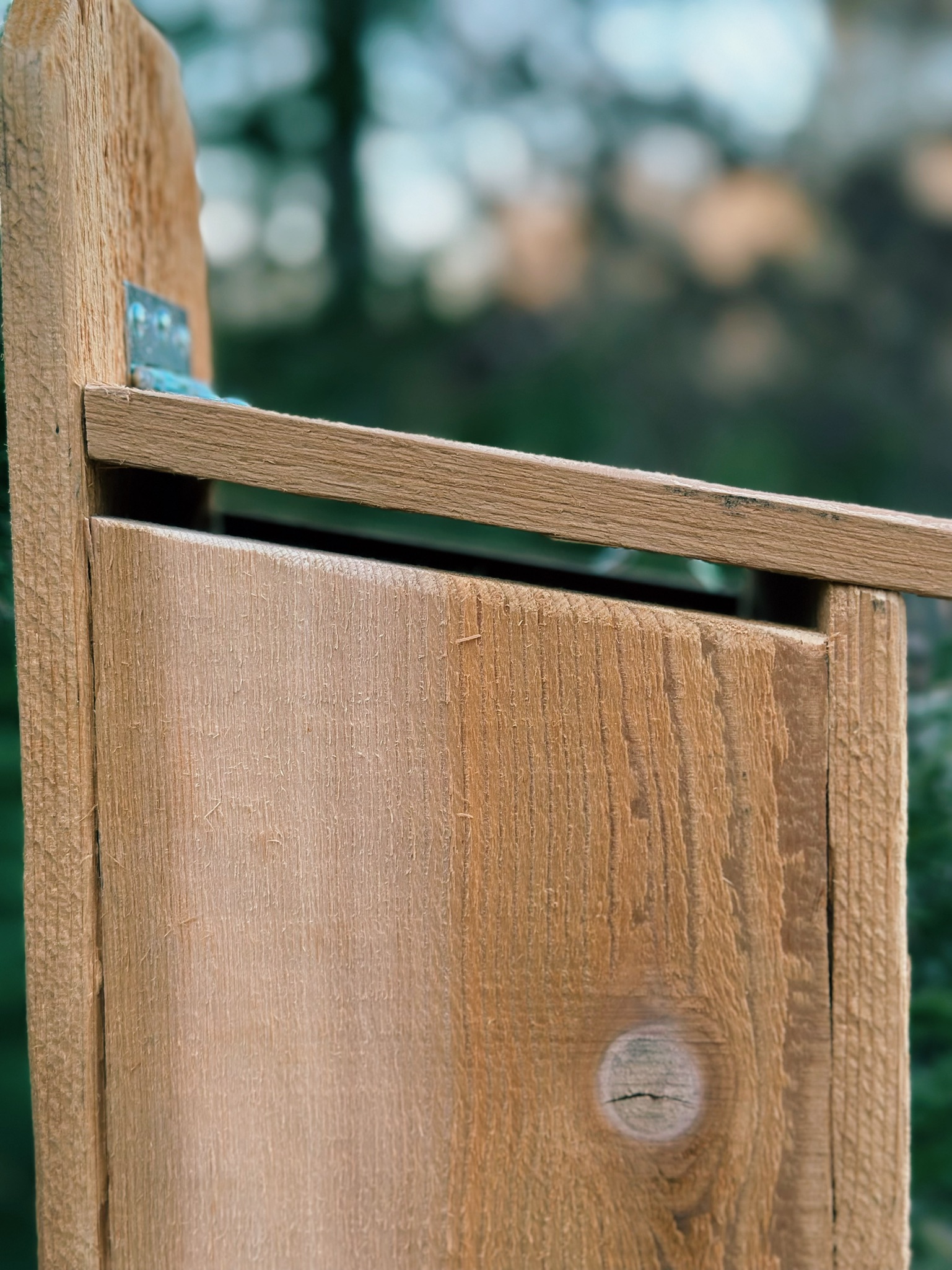 Side of the birdhouse showing the gap between the top of the wall and the roof. This adds airflow for the birdhouse.