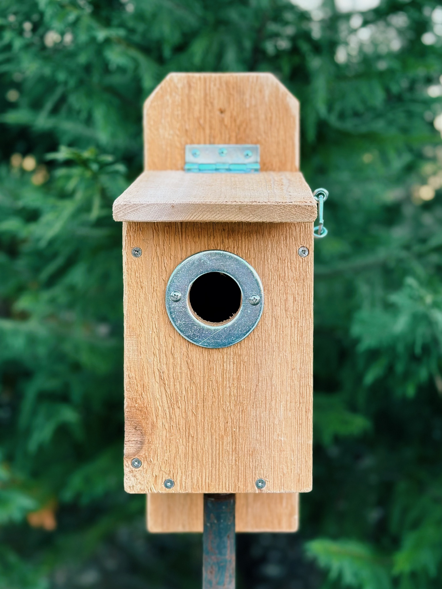 Front view of the birdhouse