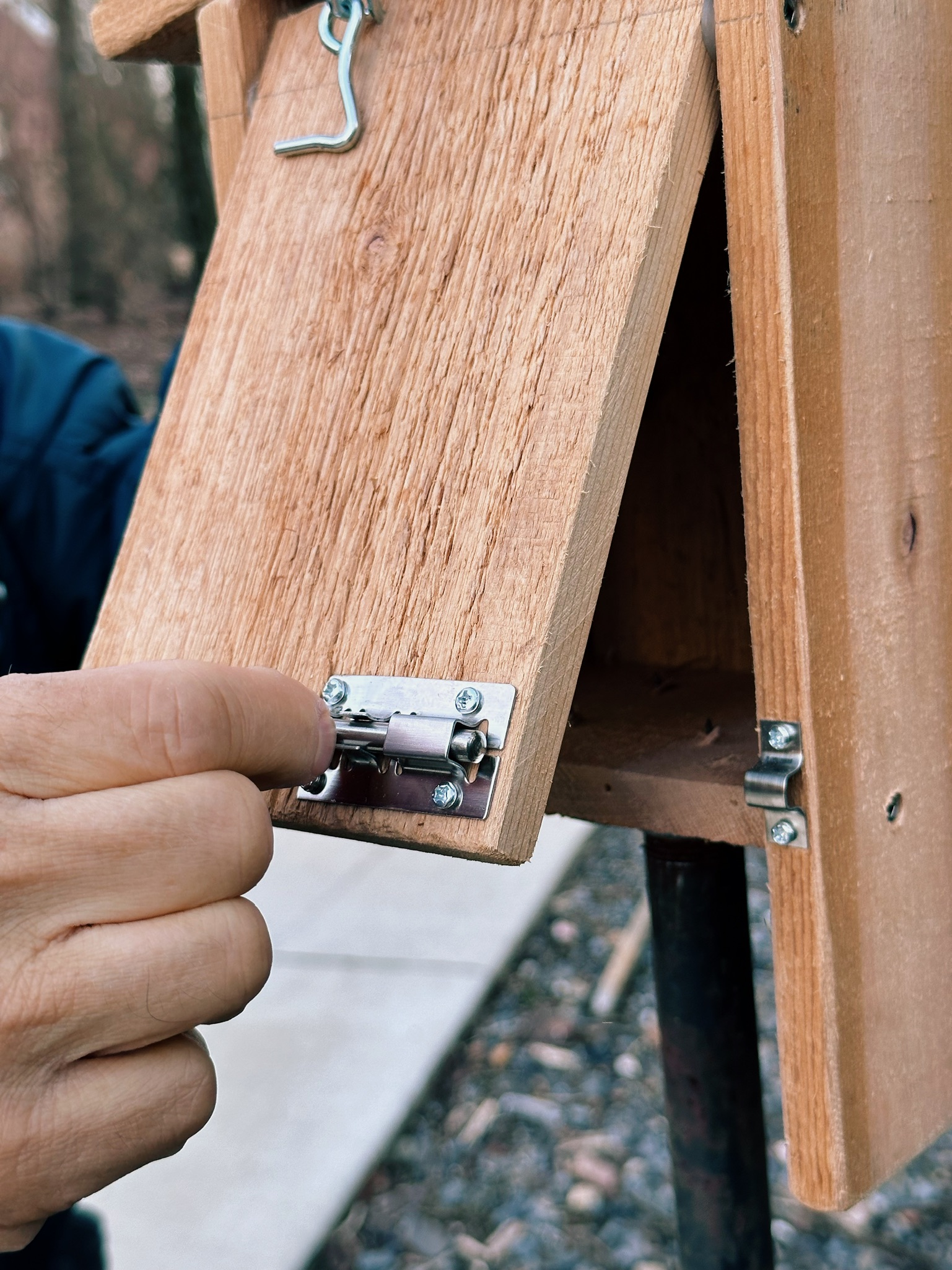 Hand holding the locking latch as the side door of the birdhouse swings open.