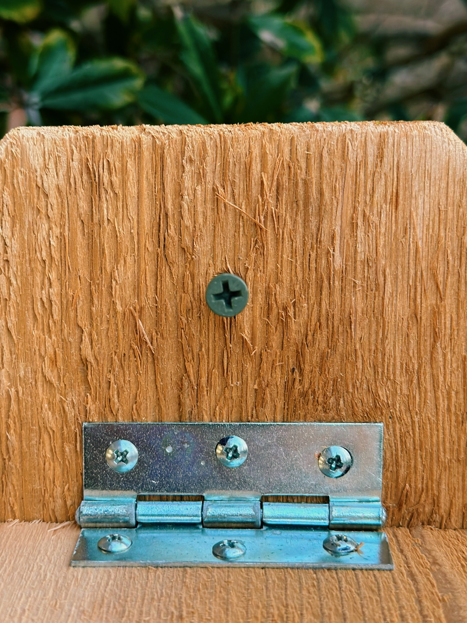 The roof hinge allows for easy viewing of the birds.